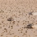 MAGTF-23 Marines conduct the Tank Mechanized Assault Course during ITX 4-18