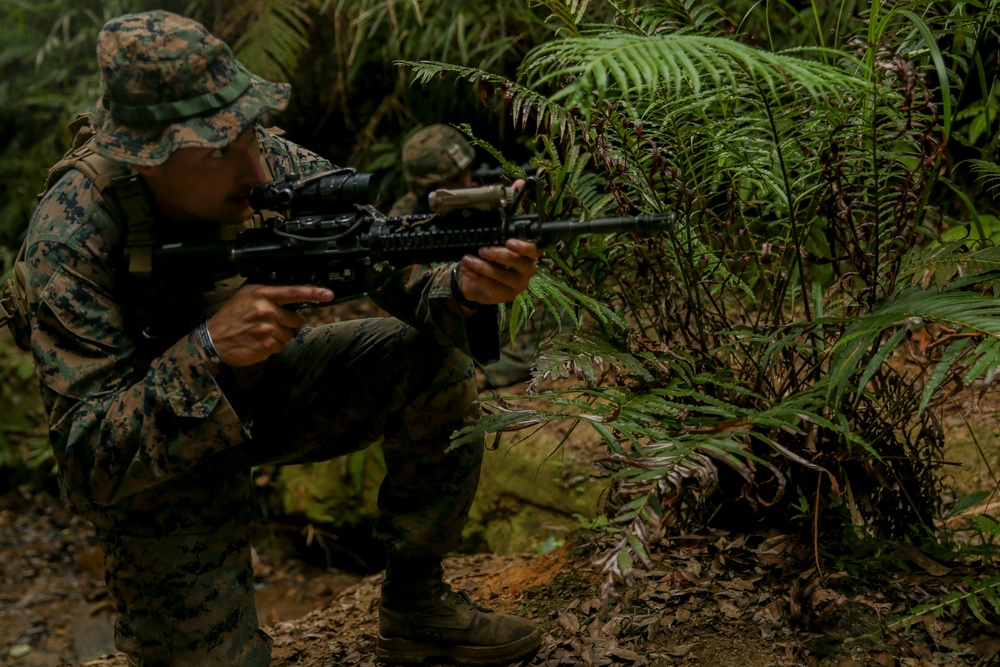 Smell the Gunpowder; BLT 2/5 Jungle Range Training