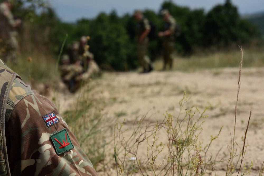 Ohio National Guard builds partnerships at Platinum Wolf 2018