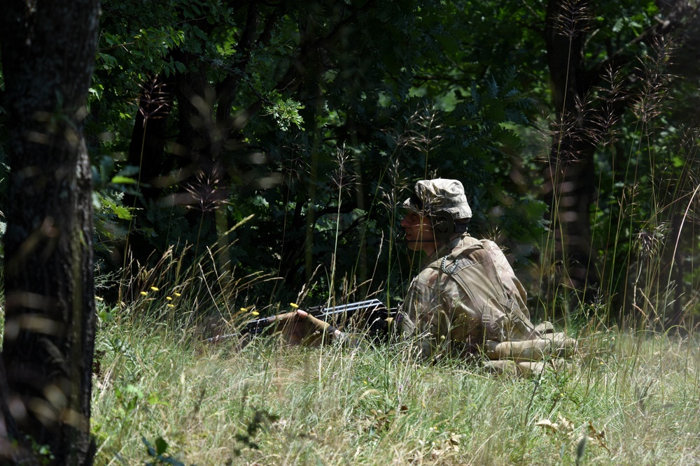 Ohio National Guard builds partnerships at Platinum Wolf 2018