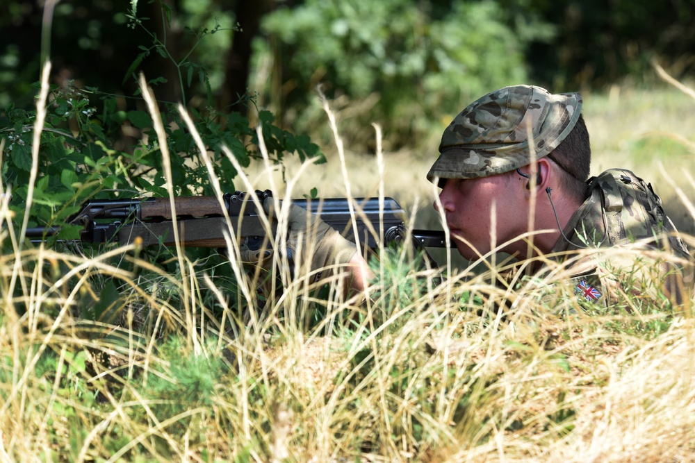 Ohio National Guard builds partnerships at Platinum Wolf 2018