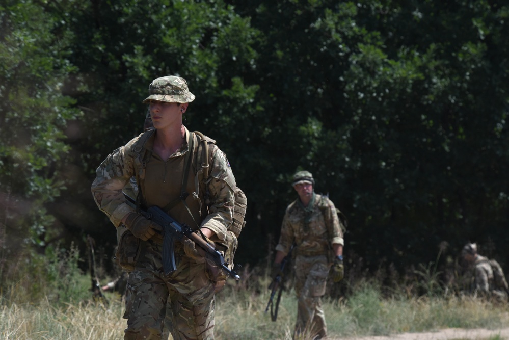 Ohio National Guard builds partnerships at Platinum Wolf 2018