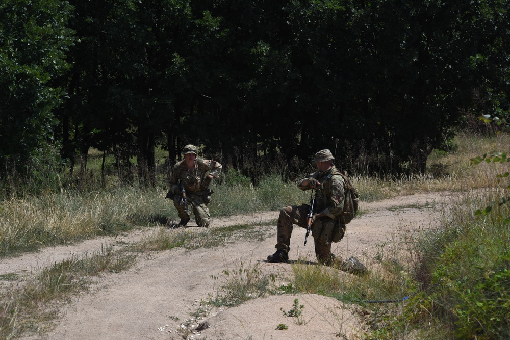 Ohio National Guard builds partnerships at Platinum Wolf 2018