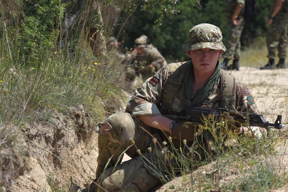 Ohio National Guard builds partnerships at Platinum Wolf 2018