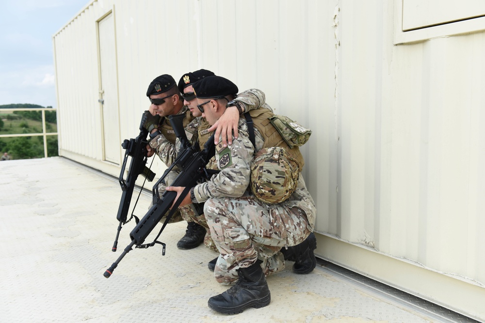 Ohio National Guard builds partnerships at Platinum Wolf 2018