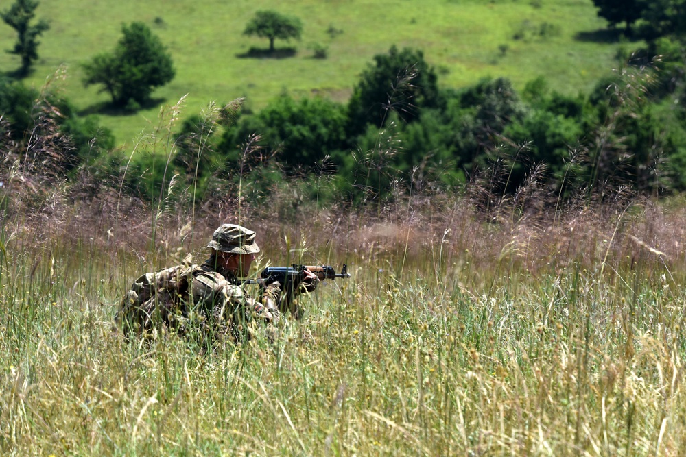 Ohio National Guard builds partnerships at Platinum Wolf 2018