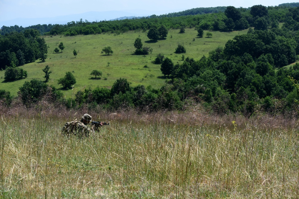 Ohio National Guard builds partnerships at Platinum Wolf 2018