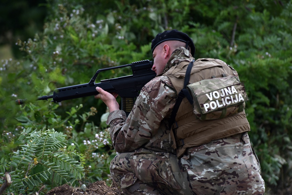 Ohio National Guard builds partnerships at Platinum Wolf 2018