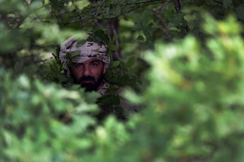 Ohio National Guard builds partnerships at Platinum Wolf 2018