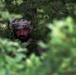 Ohio National Guard builds partnerships at Platinum Wolf 2018