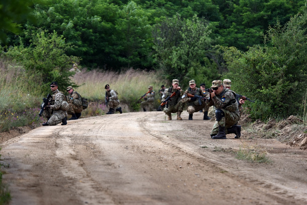 Ohio National Guard builds partnerships at Platinum Wolf 2018