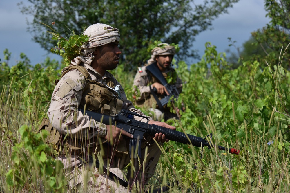 Ohio National Guard builds partnerships at Platinum Wolf 2018