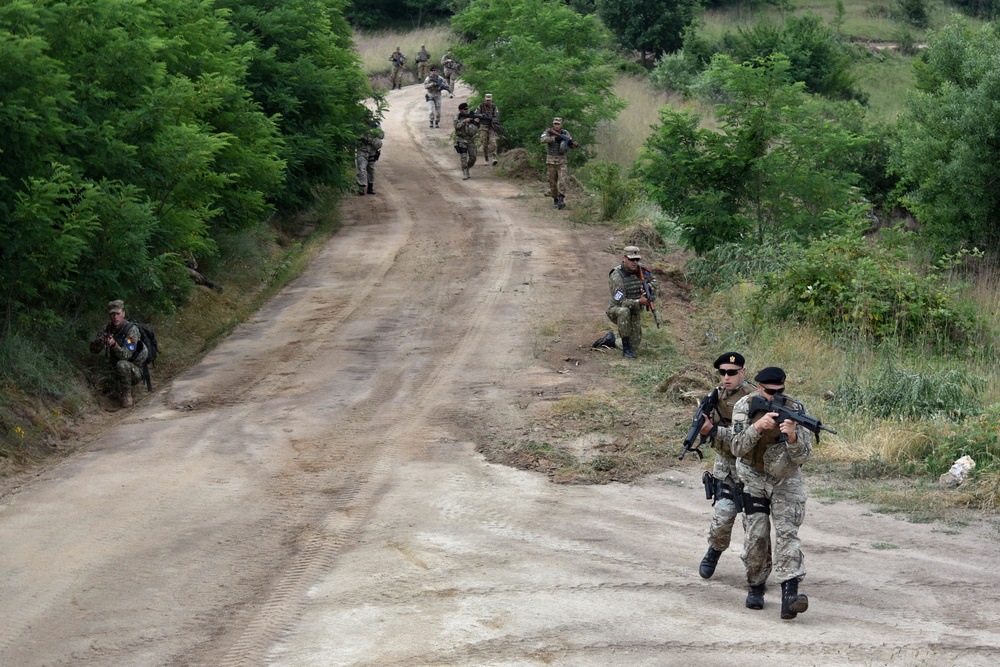 Ohio National Guard builds partnerships at Platinum Wolf 2018