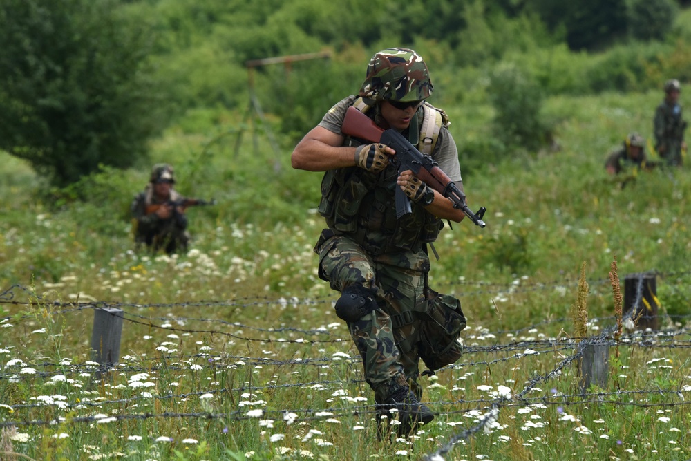 Ohio National Guard builds partnerships at Platinum Wolf 2018