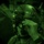 C-130H Airdrops Support for Combined Joint Task Force-Operation Inherent Resolve C-130H Airdrops Support for Combined Joint Task Force-Operation Inherent Resolve