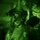 C-130H Airdrops Support for Combined Joint Task Force-Operation Inherent Resolve C-130H Airdrops Support for Combined Joint Task Force-Operation Inherent Resolve