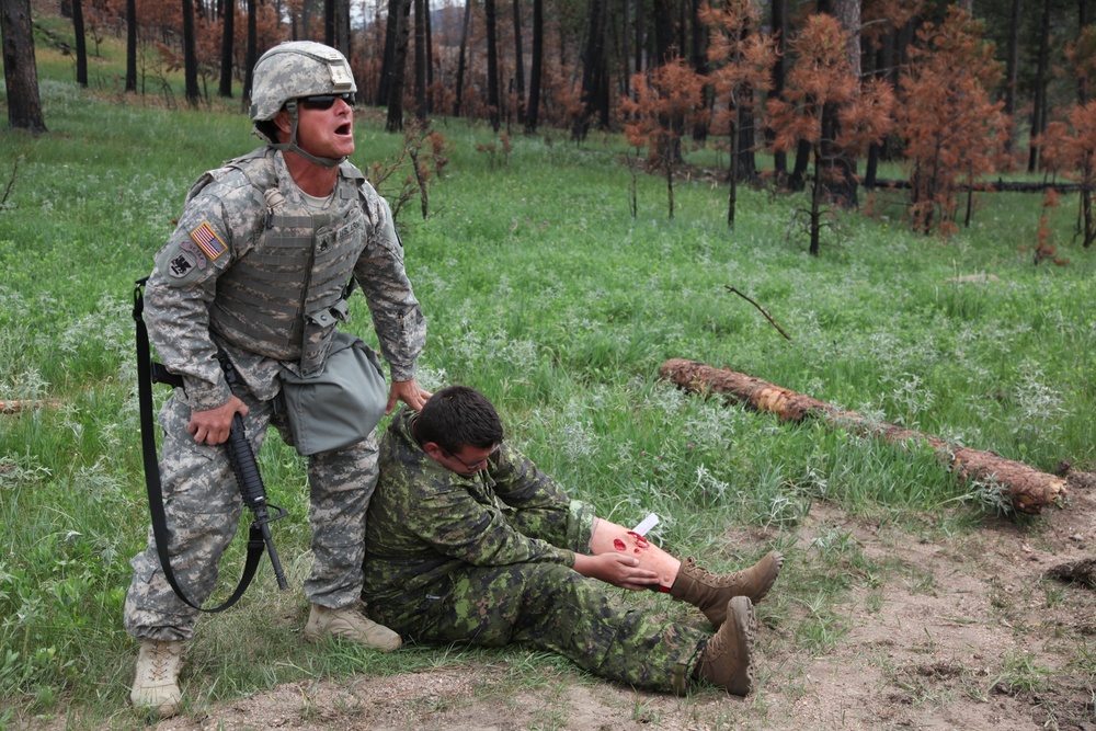 Golden Coyote Training Exercise 2018