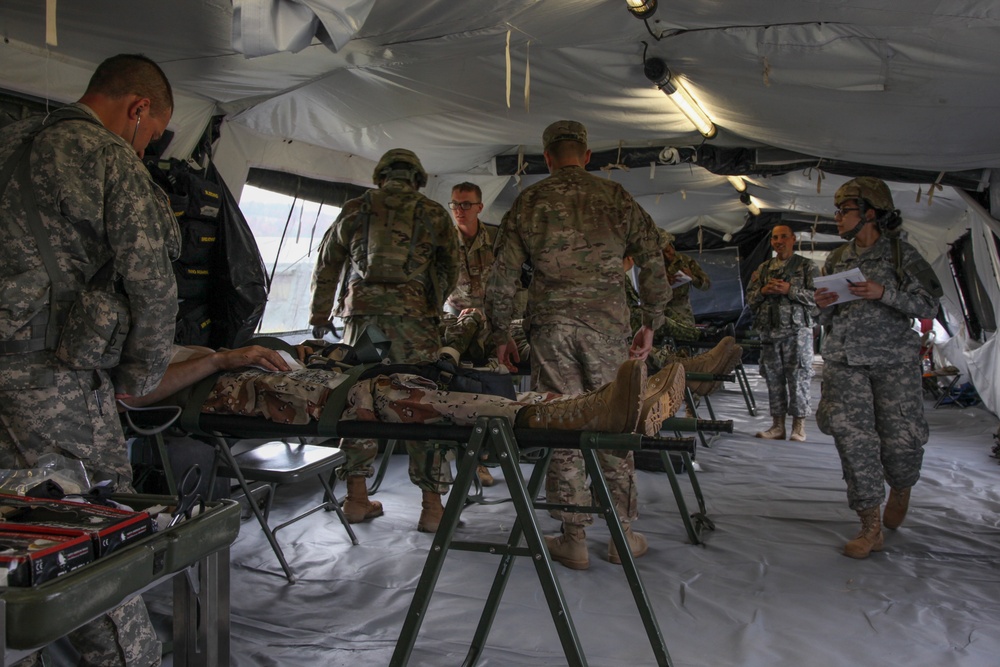 Exercise Golden Coyote 2018