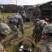 Exercise Golden Coyote 2018