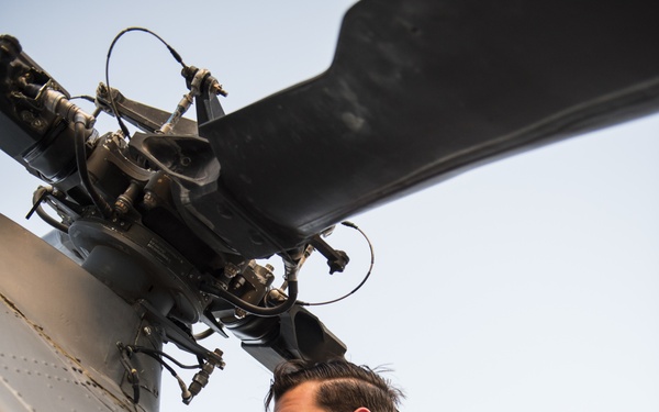 WSINT promotes multi-domain lethality