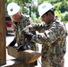 SD, Suriname Soldiers partner together to rebuild trail bridge