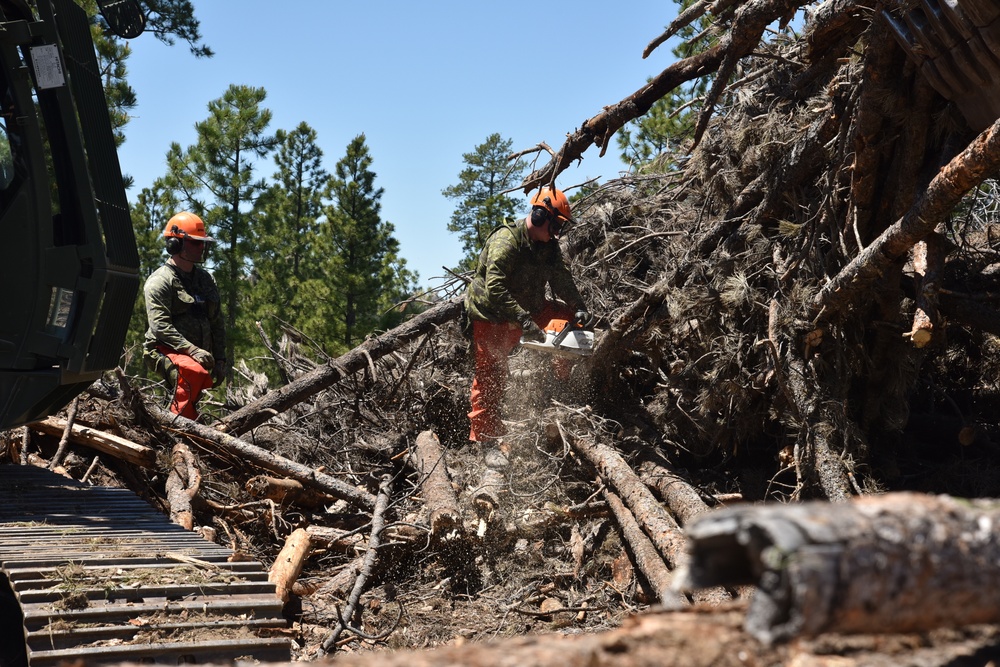 Timber haul operation supports local communities