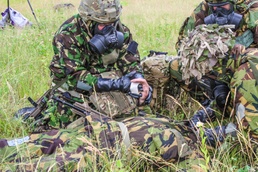 British, U.S. Soldiers enhance medical interoperability at Saber Strike