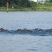 EODGRU2 Bay Swim