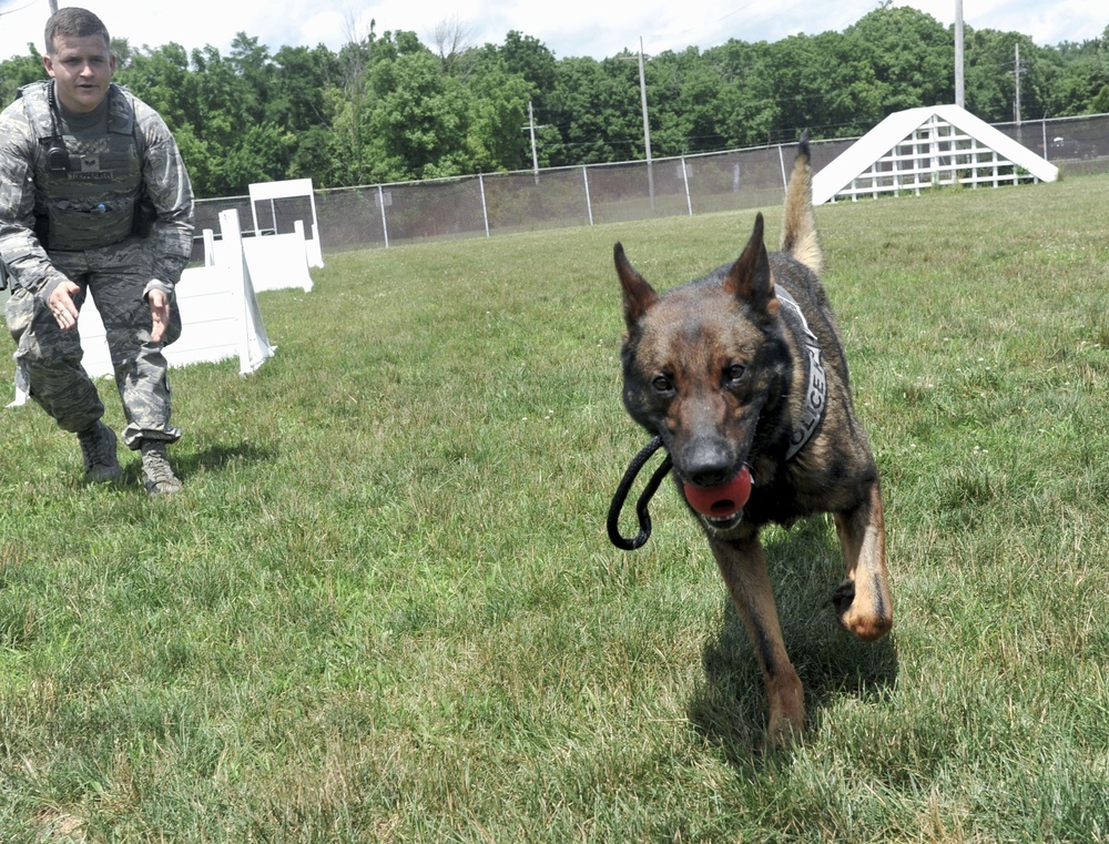 Meet MWD Kerry, the 88th Security Forces Squadron newest K9 recruit