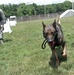 Meet MWD Kerry, the 88th Security Forces Squadron newest K9 recruit