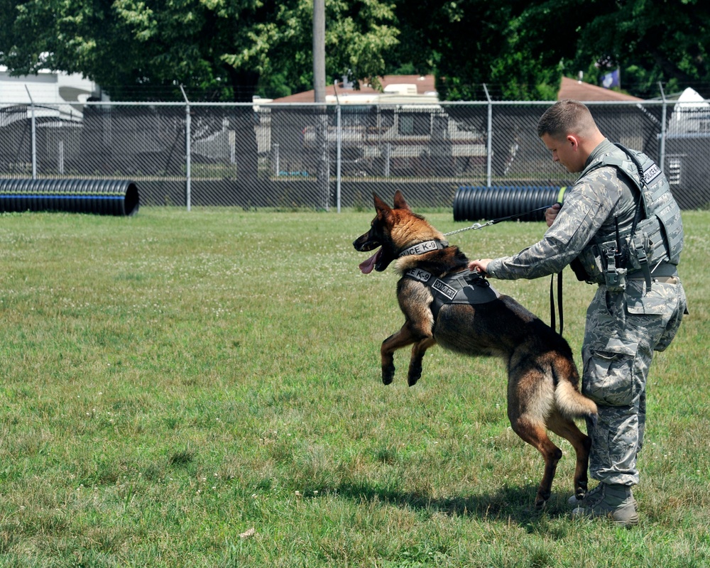 Meet MWD Kerry, the 88th Security Forces Squadron newest K9 recruit