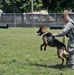 Meet MWD Kerry, the 88th Security Forces Squadron newest K9 recruit