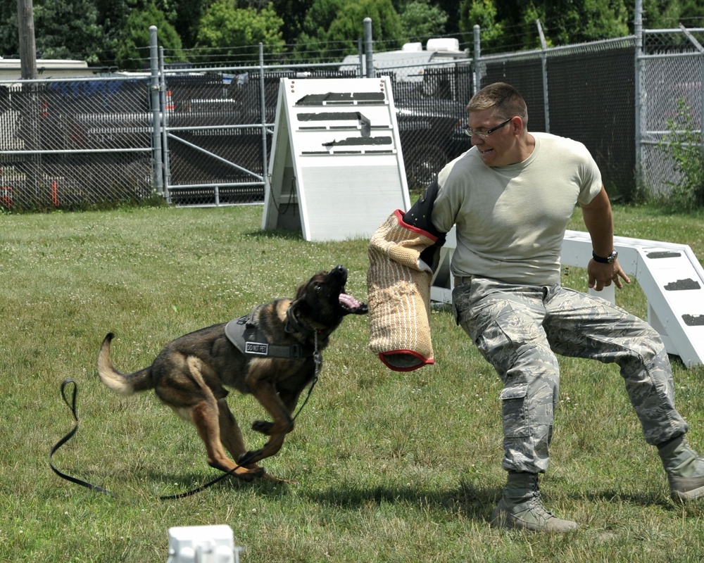 Meet MWD Kerry, the 88th Security Forces Squadron newest K9 recruit