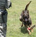 Meet MWD Kerry, the 88th Security Forces Squadron newest K9 recruit