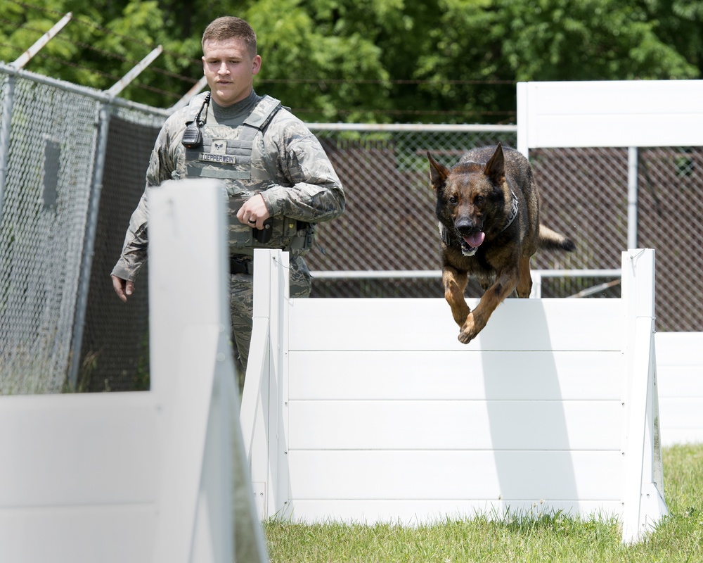 Meet MWD Kerry, the 88th Security Forces Squadron newest K9 recruit