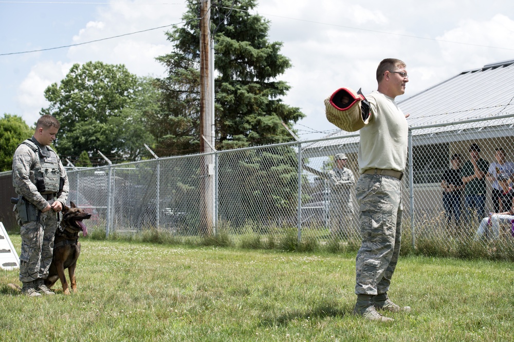 Meet MWD Kerry, the 88th Security Forces Squadron newest K9 recruit