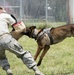 Meet MWD Kerry, the 88th Security Forces Squadron newest K9 recruit