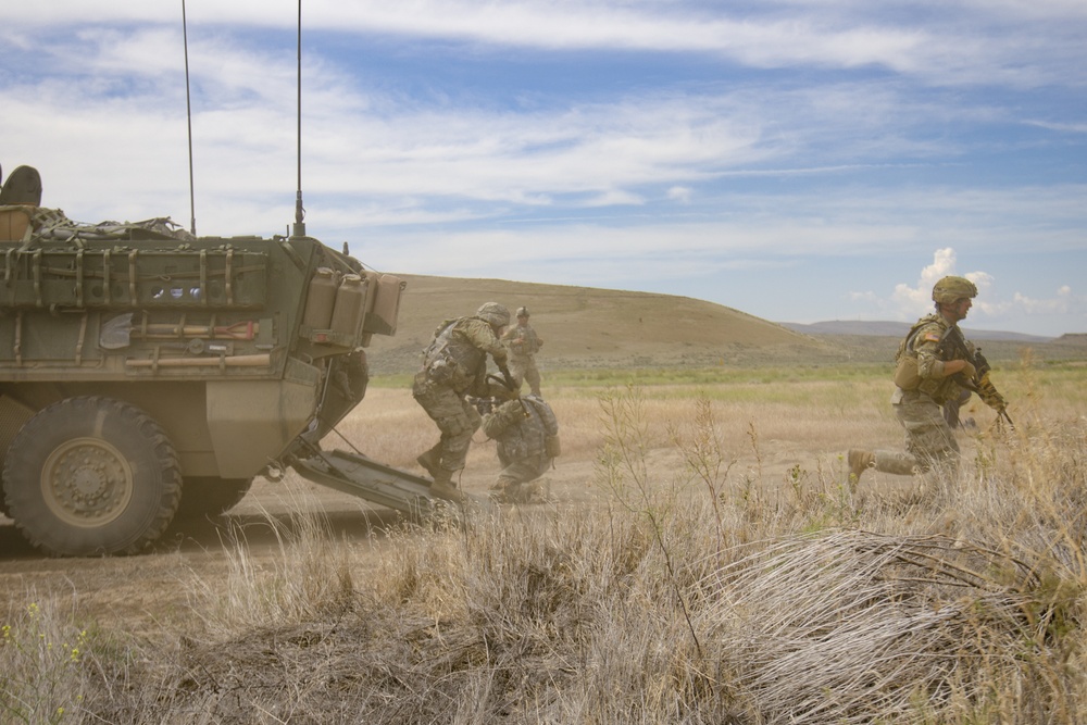 Charlie Company, 1st Battalion, 161st Infantry Regiment, 81st Stryker Brigade prepare for live fire exercise.