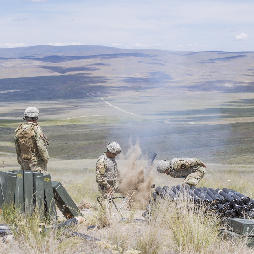 1st Battalion, 161st Infantry Regiment, 81st Stryker Brigade Combat Team fire 81mm Mortars.