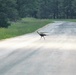 Fort McCoy wildlife