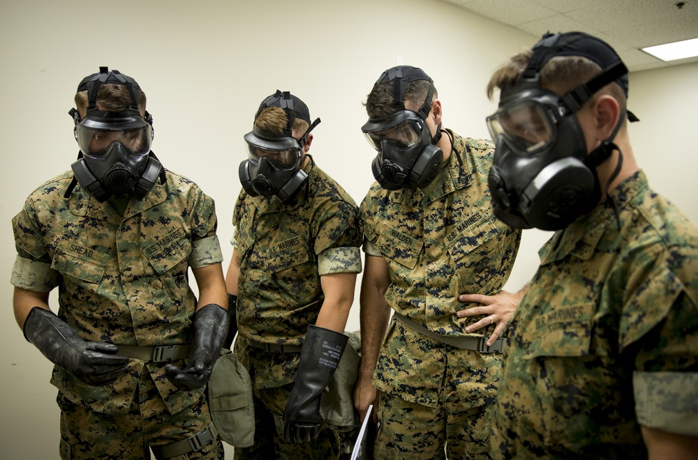 Real World CBRN