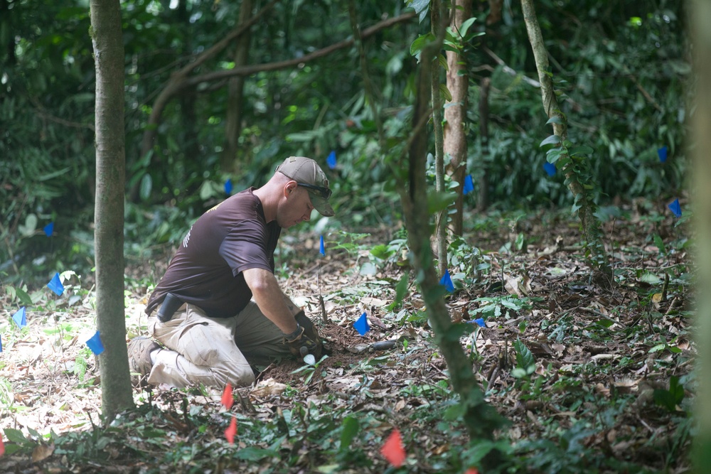 Search for the fallen in Laos
