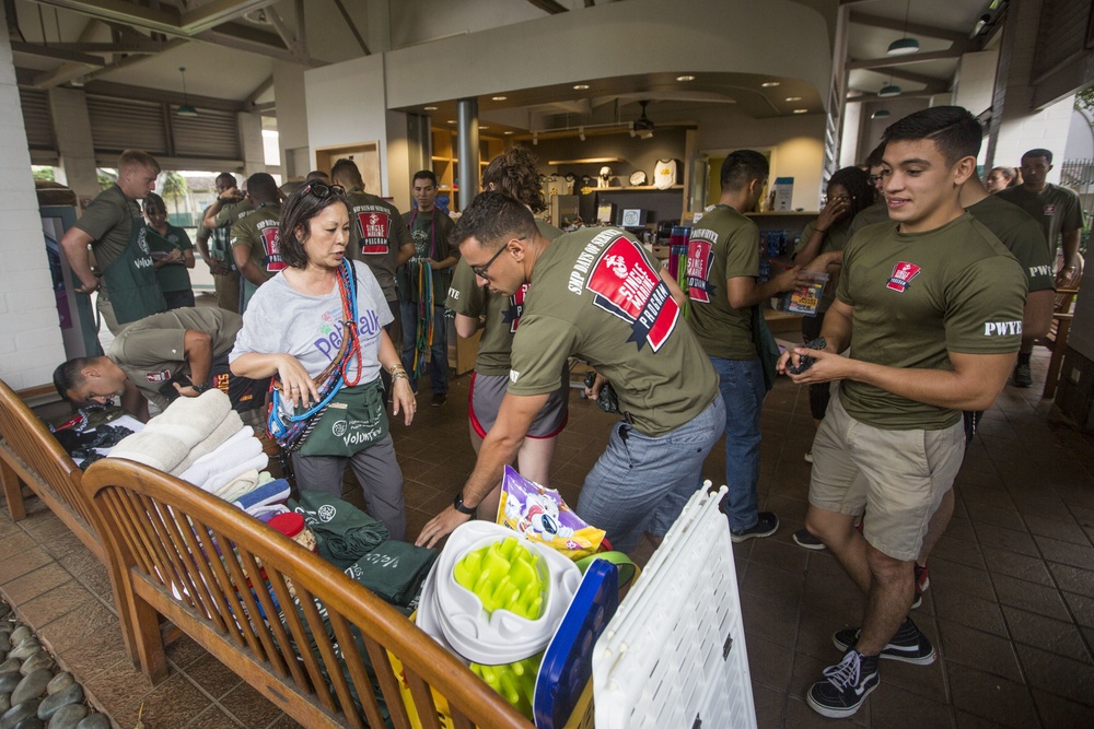 MCBH SMSP volunteer at Hawaiian Humane Society