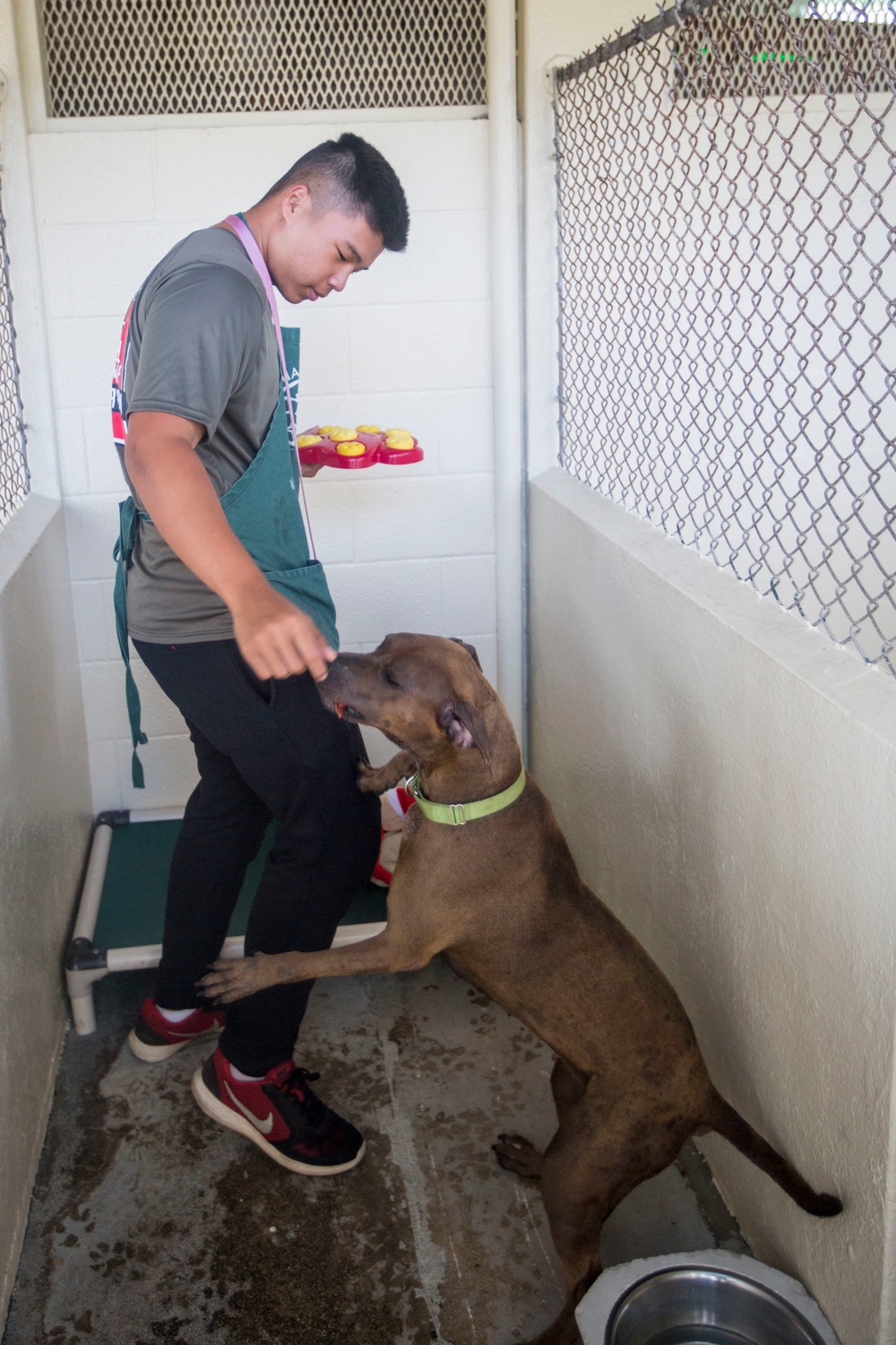 MCBH SMSP volunteer at Hawaiian Humane Society