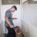 MCBH SMSP volunteer at Hawaiian Humane Society