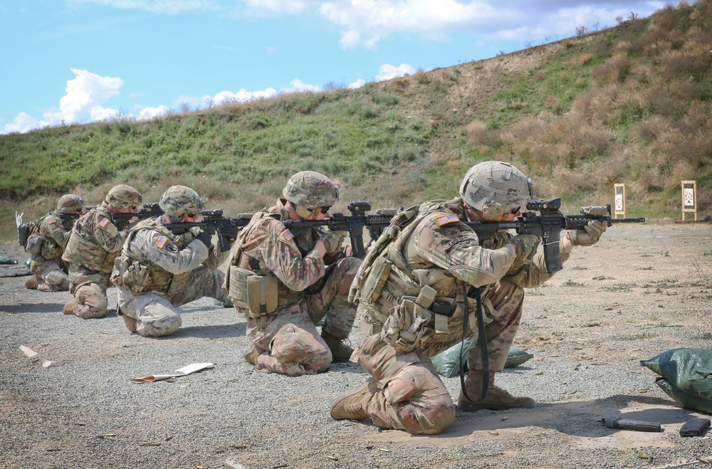 DVIDS - Images - 2-5 Cav Conducts Small Arms Fire Training in Romania ...