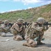 2-5 Cav Conducts Small Arms Fire Training in Romania