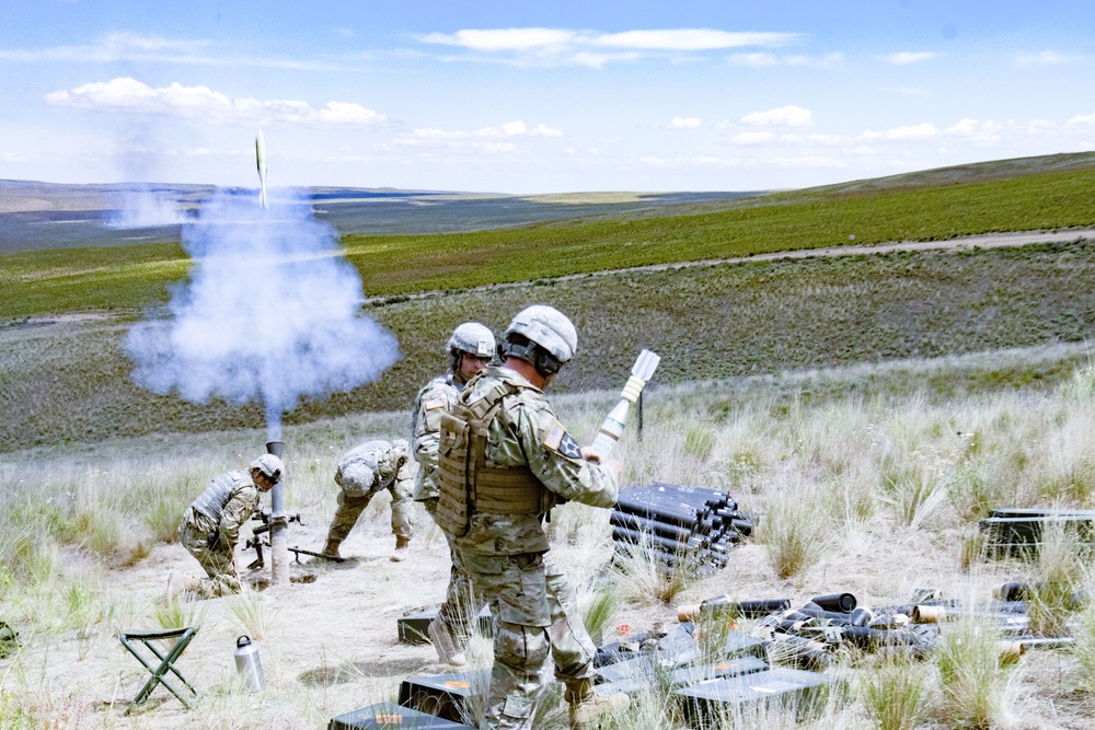 81st Stryker Brigade Combat Team Annual Training