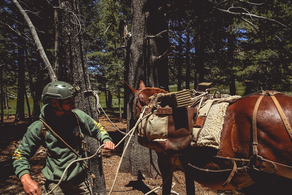 SOF Horsemanship Course