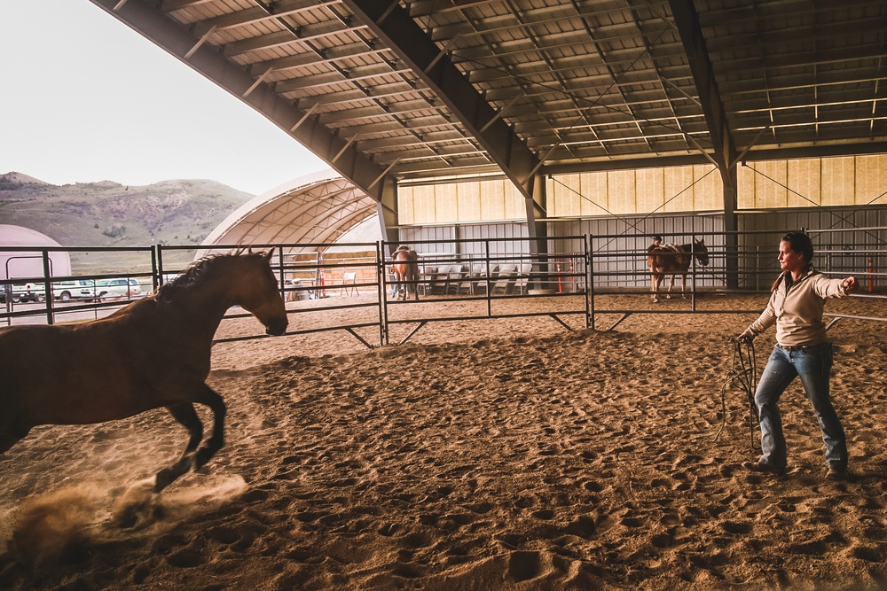 SOF Horsemanship Course